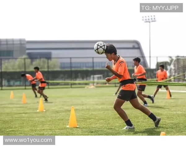 足球肌肉犬的训练技巧与健康管理全攻略